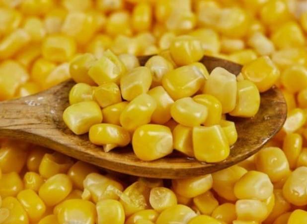 ثبت‌سفارش ذرت دامی و جو از شنبه آغاز می‌شود