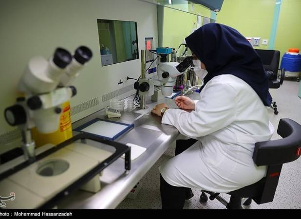چرا "محرمانگی کامل" در جریان "اهدای تخمک" حاکم است؟