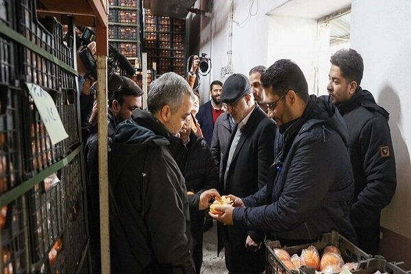گودرزی: میزان ذخیره کالاها و میوه شب عید کافی است