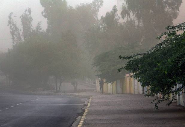 وزش باد نسبتاً شدید در شمال شرق و شرق فارس/ سرمای شبانه در راه است