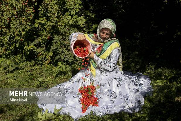 کلیبر؛ روایت رنگ و طعم در قلب ارسباران