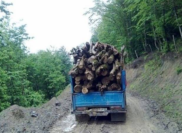 محموله‌های غیرمجاز چوب در ۳ شهرستان مازندران توقیف شد