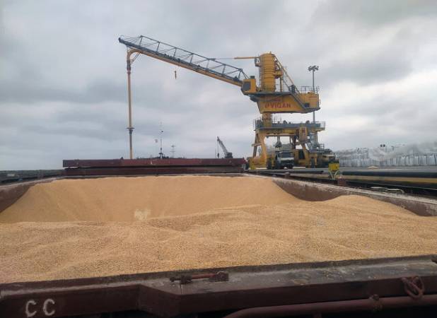 نظارت شبانه‌روزی دامپزشکی بر ترخیص نهاده‌های دامی در بنادر مازندران