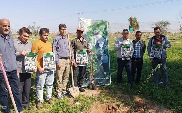 ۲۰۰ اصله نهال در پویش سرو ایران در شهرستان دهلران غرس شد