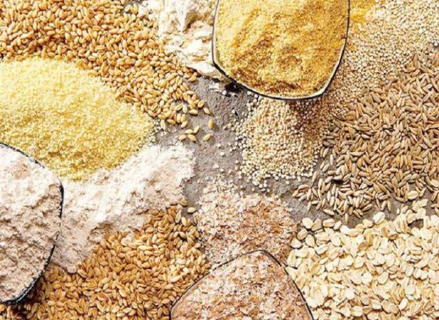 افزایش قیمت نهاده‌ها بر میزان تولید محصولات دامی و کشاورزی تأثیر گذاشته است