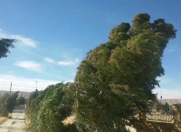 سرعت وزش باد در برخی نقاط مرکزی ۸۰ کیلومتر بر ساعت می رسد