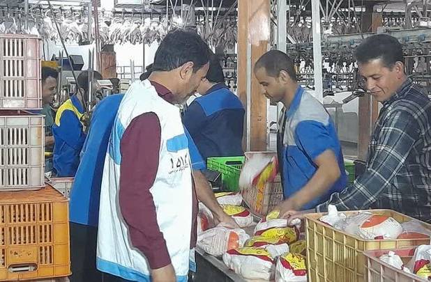 ۴۰ اکیپ دامپزشکی در استان بوشهر نظارت می‌کنند