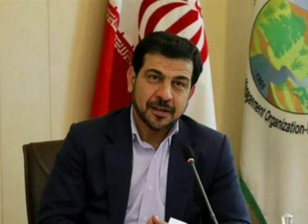 ستاد ملی حمایت از جنگل های زاگرس تشکیل میشود
