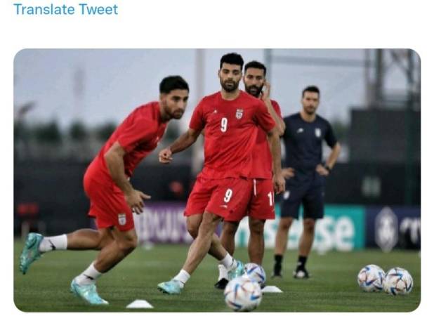 توئیت جنجالی گل‌محمدی درباره باخت ملی‌پوشان
