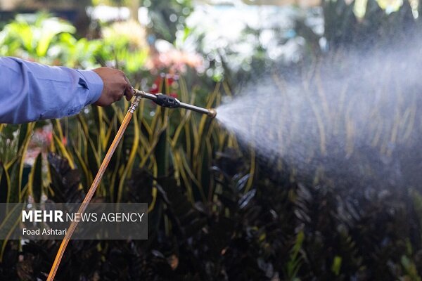 مدیریت علمی مصرف آب در فارسان شرط پایداری کشاورزی است