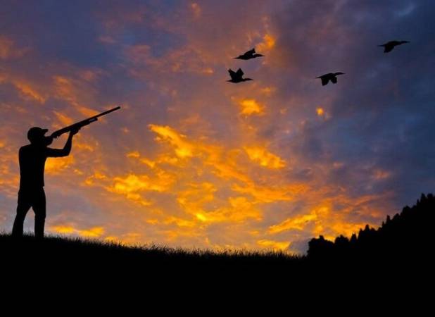 ۲ شکارچی در دام محیط‌بانان قزوین افتادند