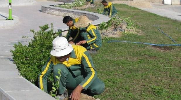 بازچرخانی‌ پساب برای افزایش سرانه فضای سبز شهرستان زهک