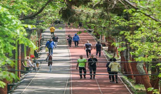 چگونه از خطرات داروهای لاغری فرار کنیم/ قدم‌های کوچک برای اتفاق بزرگ