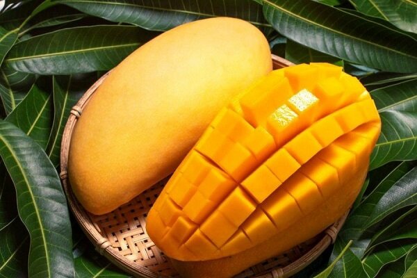 انبه ؛ میوه‌ای برای حفظ وزن و کنترل قند خون