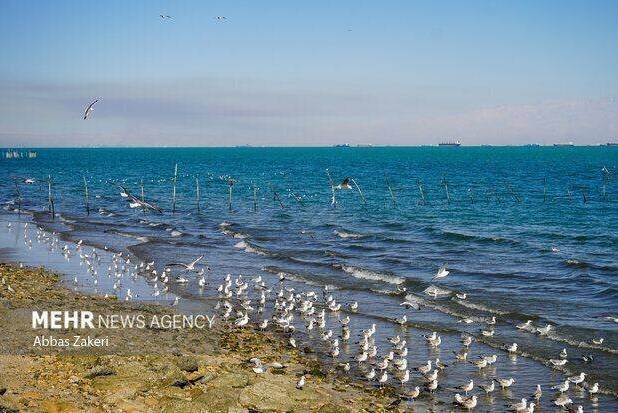 خلیج فارس مواج و متلاطم است