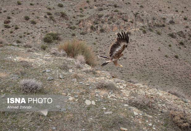 سرشماری منطقه پلنگ‌دره قم برای نخستین بار با استفاده از پهپاد