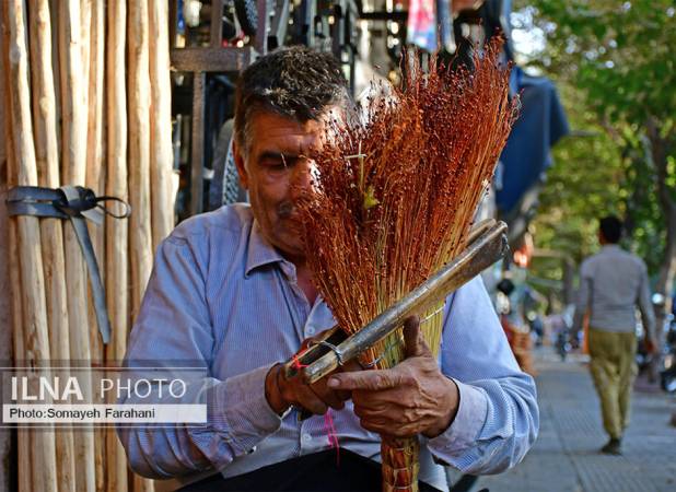 تصاویری از یک شغل فراموش شده تهران