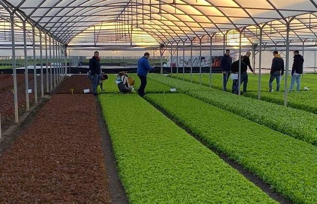 رونق تولید و اشتغال در هیرمند با بهره‌برداری از ۱۶ طرح کشاورزی