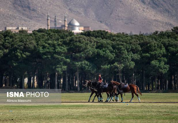 تمرکز بر احیای میراث چوگان و توسعه زیرساخت‌ها/ فرصت ورود مجموعه‌های بزرگ به رشته تاریخی