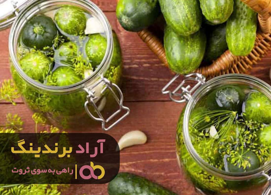 جایگاه بالا در ثروت را مدیون ردپای خیارشور هستم