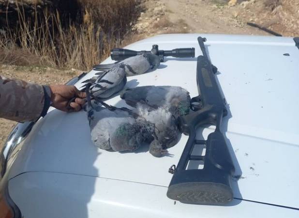 مدیرکل محیط زیست آذربایجان غربی: شکارچیان غیرمجاز در سه نقطه حساس استان دستگیر شدند