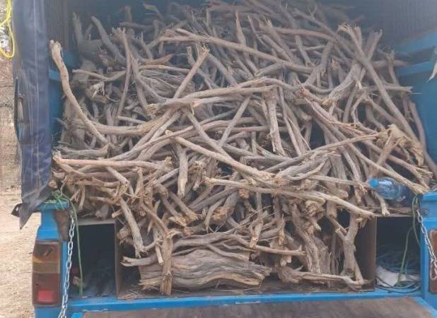 کنترل محموله های چوب در شهرستان بندرعباس