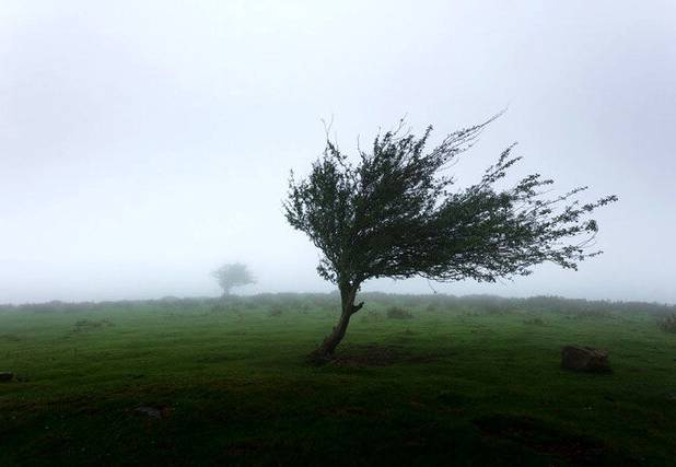 کارشناس هواشناسی آذربایجان غربی: وزش باد شدید استان را فرا می‌گیرد