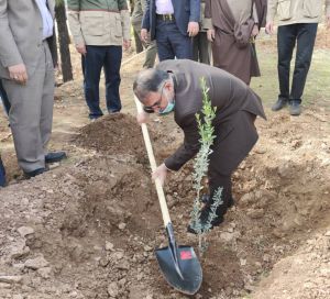 یک میلیون نهال همزمان با هفته درختکاری در لرستان کاشته می شود