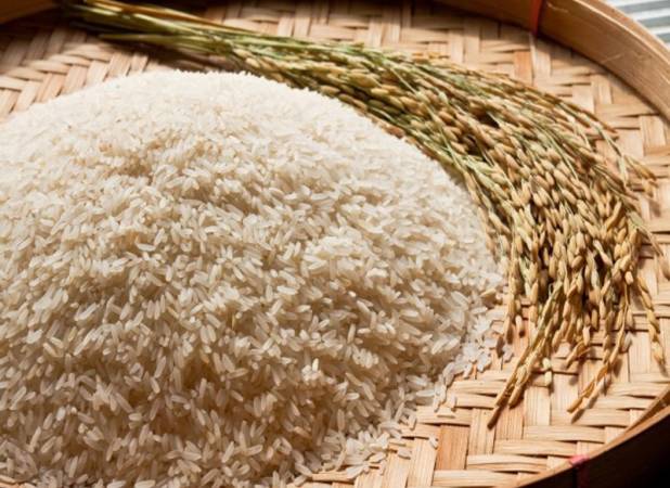 کاهش ۶۹ درصدی واردات برنج در تیر ماه