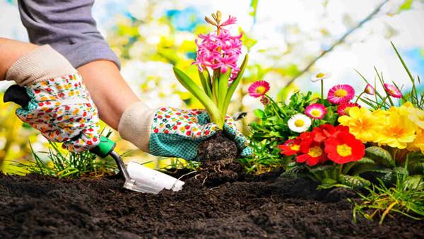 ایجاد فضای سبز راه حل مشکلات شهری