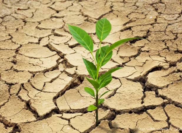  از اعتبارات خشکسالی نگاه ویژه ای به لرستان خواهیم داشت