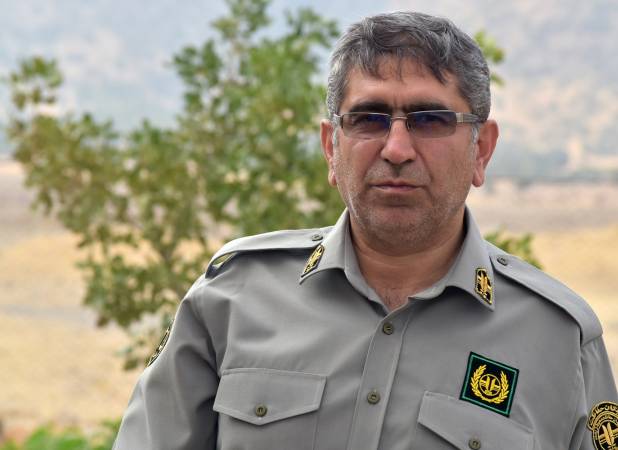 تاکنون هیچ جانور وحشی در منطقه کمالوند مشاهده نشده است