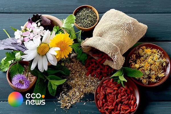 افزایش ۱۰۰هکتاری سطح زیر کشت گیاهان دارویی 