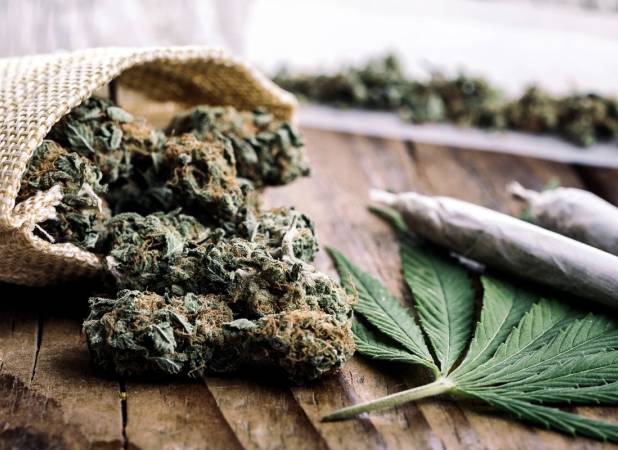 مطالعه جدید: ماری‌جوانا از سیگار خطرناک‌تر است!