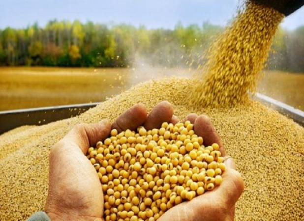 بلوکه شدن یک میلیارد از سرمایه واردکنندگان نهاده های دامی 