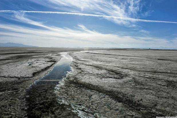 \