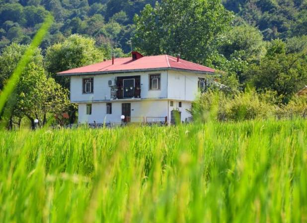 تخریب و تغییر کاربری زمینهای کشاورزی را گزارش دهید