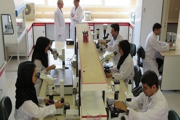 استقرار شرکت‌های دانش بنیان در شهرک‌های صنعتی
