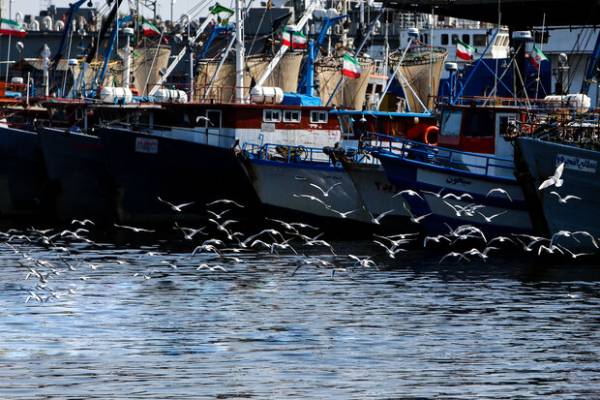 تکذیب توقف حرکت کشتی‌ها به بنادر ایران و بالعکس 