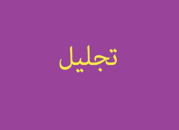 5 استاد لرستانی جزو فهرست دو درصد دانشمندان برتر جهان تجلیل شدند