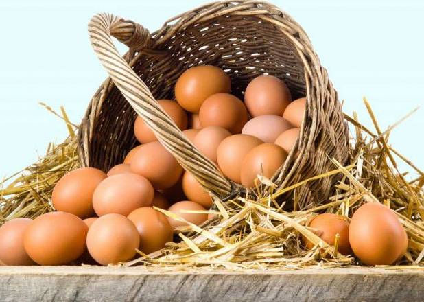 بی توجهی مسئولان به قیمت تخم مرغ در بازار