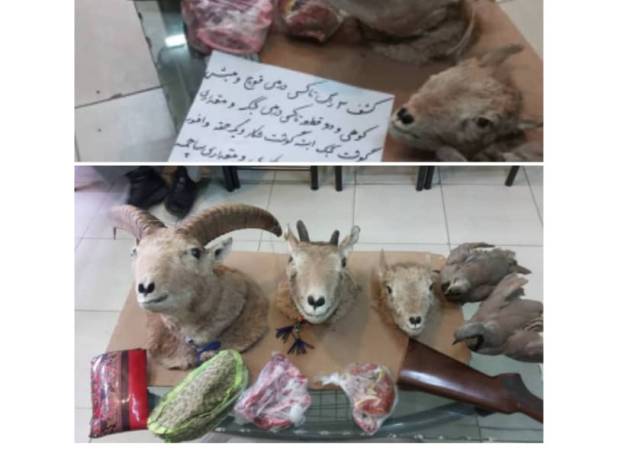 شکارچی حرفه ای سابقه دار در چنگال قانون گرفتار شد