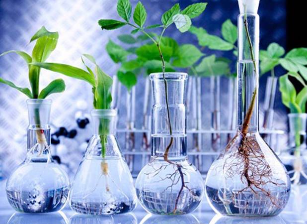 کاهش ارزبری با اجرای ۱۲۹ طرح زیست فناوری