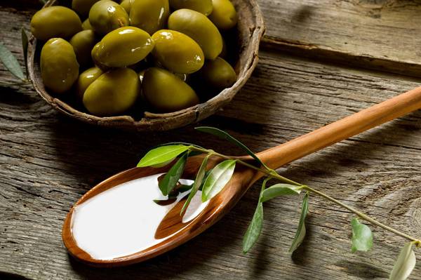 تولید ۱۲۰ هزار تن زیتون در سال جاری 