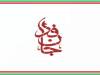 مهارت دختر ایرانی در باز و بسته کردن سلاح +فیلم