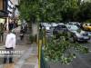 پیش‌بینی هوای تهران در ۵ روز آینده/دمای هوا کاهش می‌یابد؟