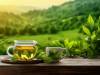 فواید نوشیدنی معروف که نمی دانید/ این خطر برخی سرطان‌ها را کاهش دهد