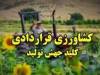 سامانه «سیتا» تا هفته آینده در کشور فعال می‌شود