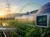 از صادرات تا مشارکت؛ نقشه راه جدید دیپلماسی کشاورزی ایران و آفریقا