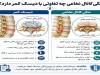 چرا مشکلات ستون فقرات در زنان بیشتر مورد توجه قرار گرفته است؟